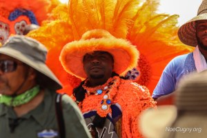 New Orleans Jazz Fest 2016 - Crowd