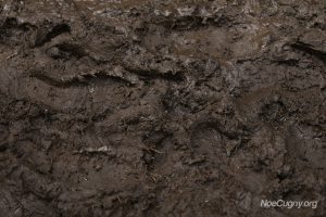 New Orleans Jazz Fest 2016 - Mud