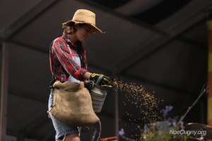 New Orleans Jazz Fest 2016 - Neil Young
