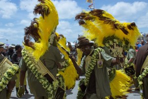 JF17-1 - Men Buckjumpers