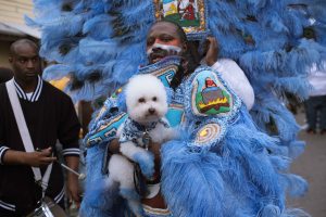 Downtown Super Sunday 2018 - Big Chief Bird, Young Hunters Mardi Gras Indians, Photo by Noe Cugny